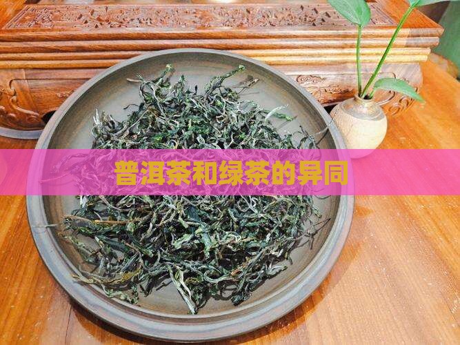 普洱茶和绿茶的异同