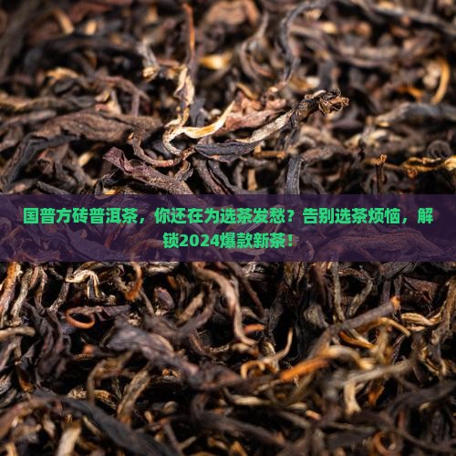 国普方砖普洱茶