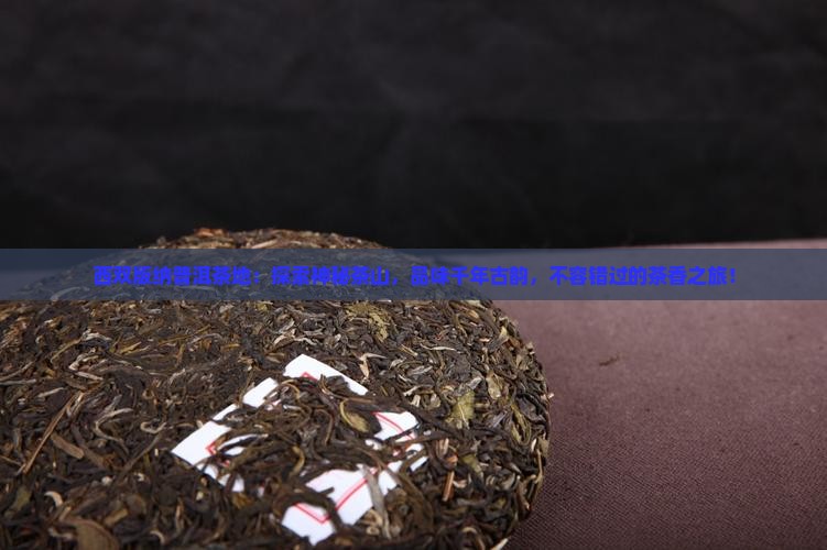 西双版纳普洱茶地