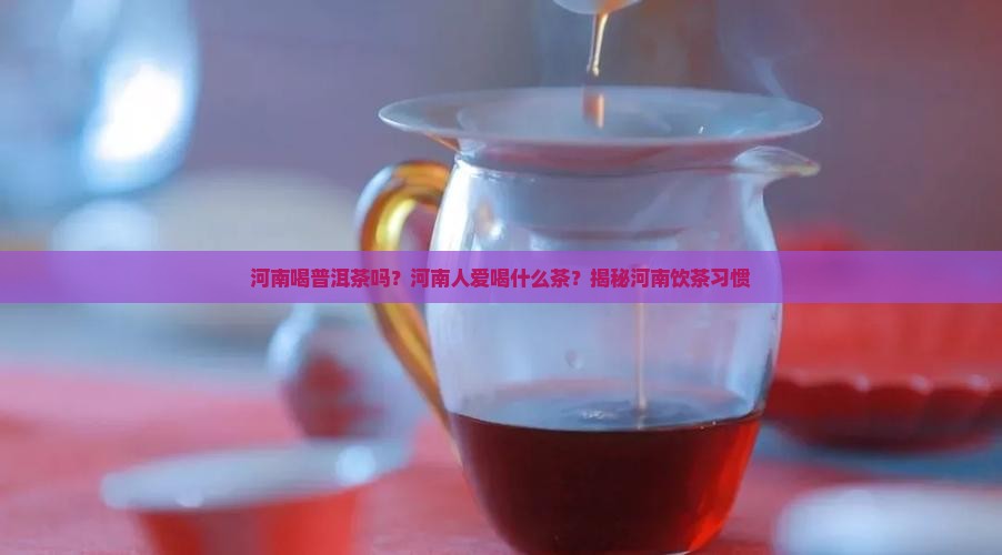 河南喝普洱茶吗