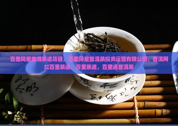 百里同星普洱茶