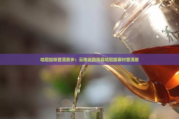 哈尼姑娘普洱茶乡