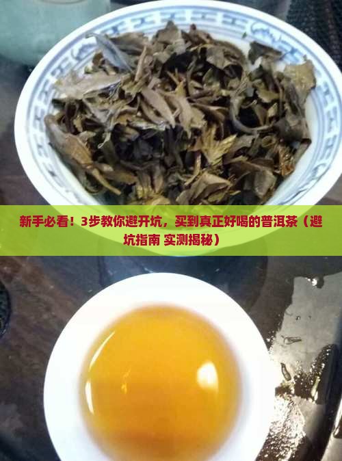 如何选购普洱茶好