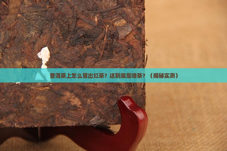 普洱茶上的红茶是什么茶