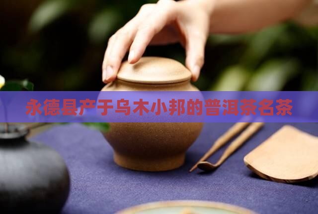 永德县有名茶品牌