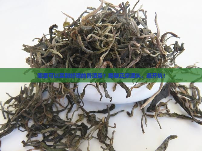 哪里可以买到好喝的普洱茶
