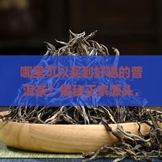 哪里可以买到好喝的普洱茶