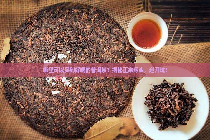 哪里可以买到好喝的普洱茶