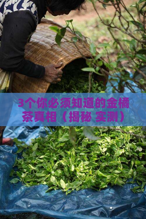 金橘茶的功效与作用及禁忌