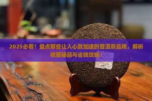 什么品牌普洱茶最值得购买藏