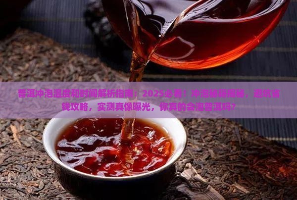 普洱冲泡温度和时间