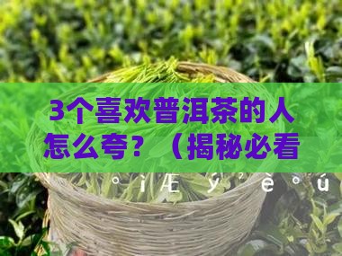 喜欢普洱茶的人如何夸