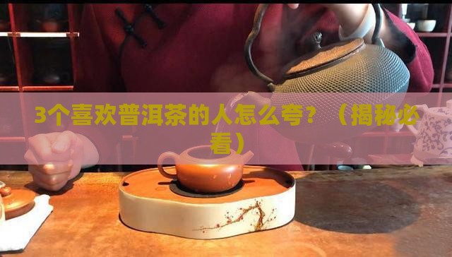 喜欢普洱茶的人如何夸