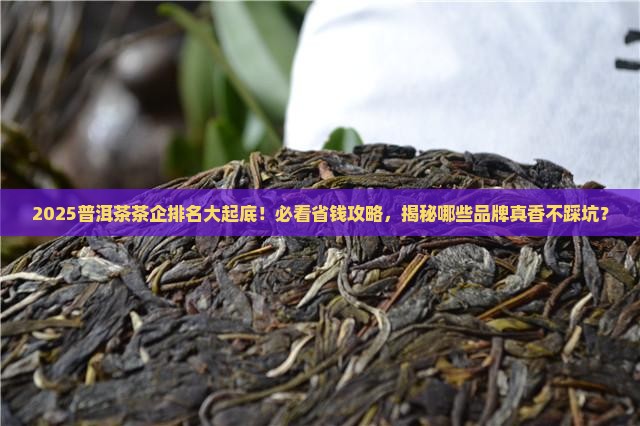 普洱茶茶企排名