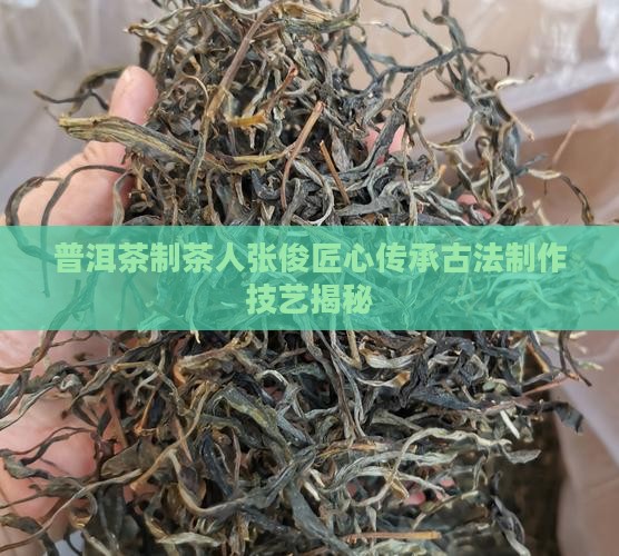 普洱茶制茶人张俊