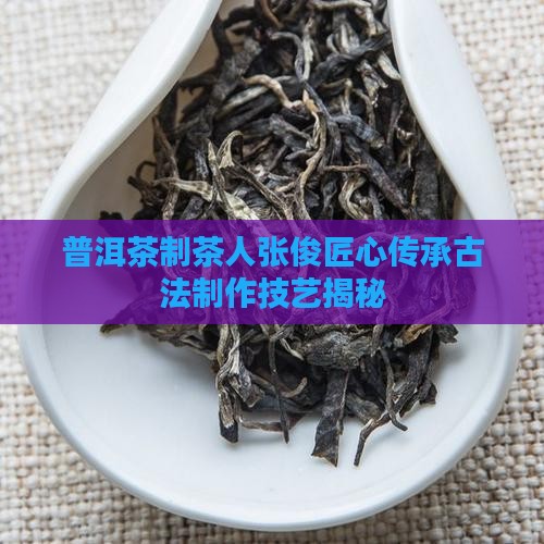 普洱茶制茶人张俊