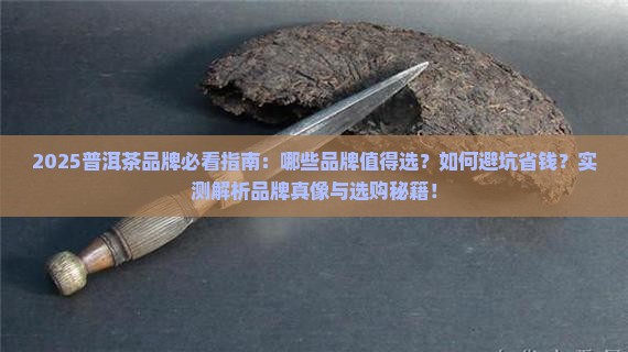 普洱茶都有什么品牌好