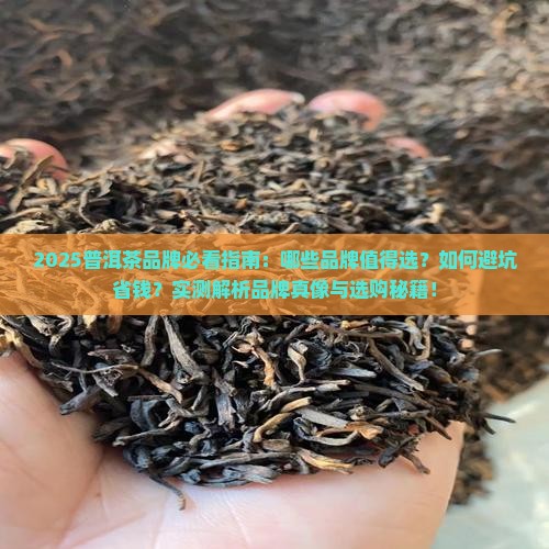 普洱茶都有什么品牌好