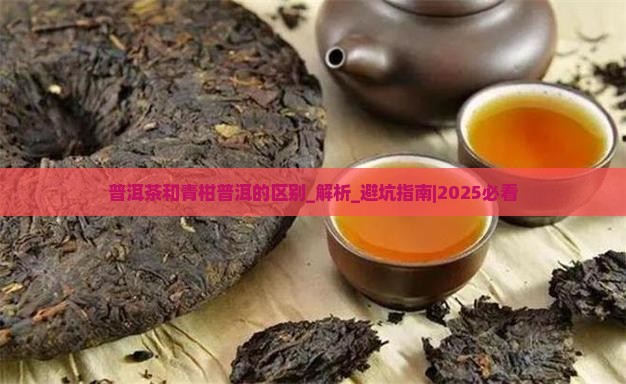 普洱茶和青柑普洱的区别