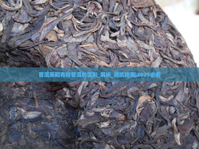 普洱茶和青柑普洱的区别