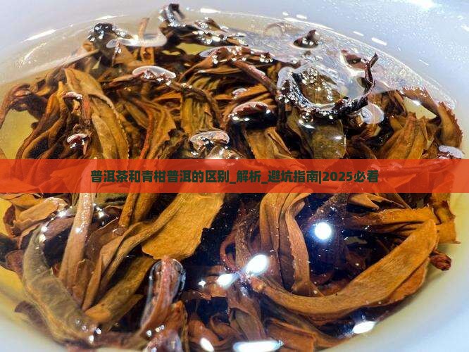 普洱茶和青柑普洱的区别