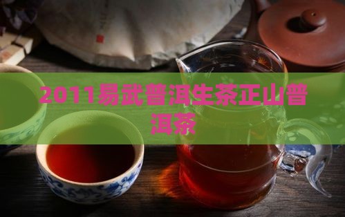 2011易武正山普洱茶
