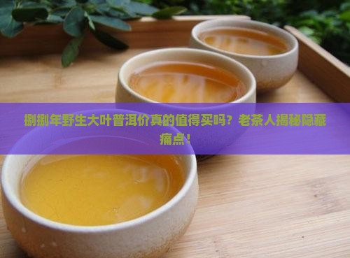 捌捌年野生大叶普洱价
