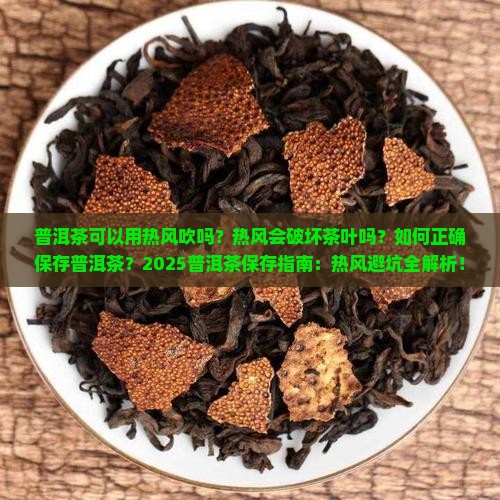 普洱茶可以用热风吹吗