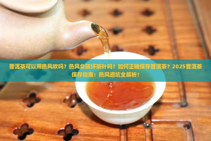 普洱茶可以用热风吹吗
