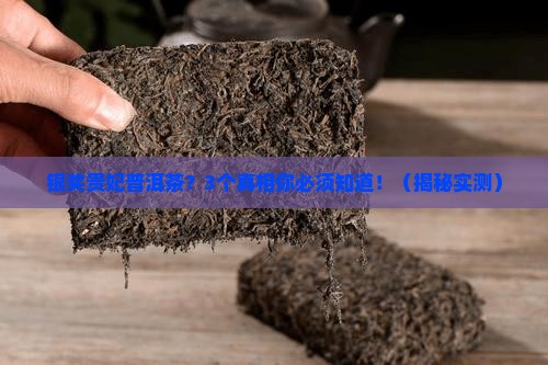 银奖贵妃普洱茶