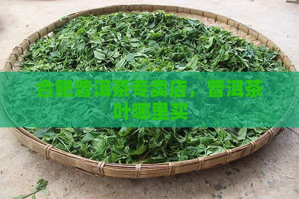 合肥普洱茶哪里买