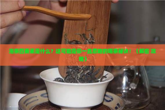 泡茶四要素是什么