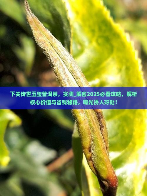 下关传世玉玺普洱茶 下关传世玉玺普洱茶