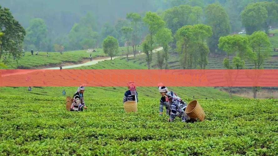 二十多年的老茶叶有什么作用 二十多年的老茶叶有什么作用