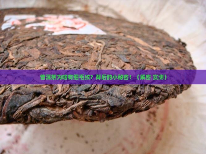 普洱茶为什么有细毛纹 普洱茶为什么有细毛纹