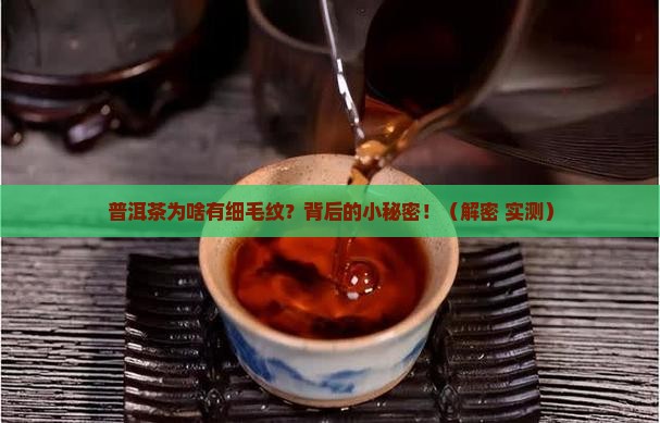 普洱茶为什么有细毛纹 普洱茶为什么有细毛纹