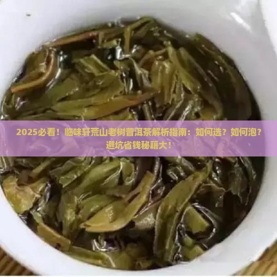 临味轩荒山老树普洱茶
