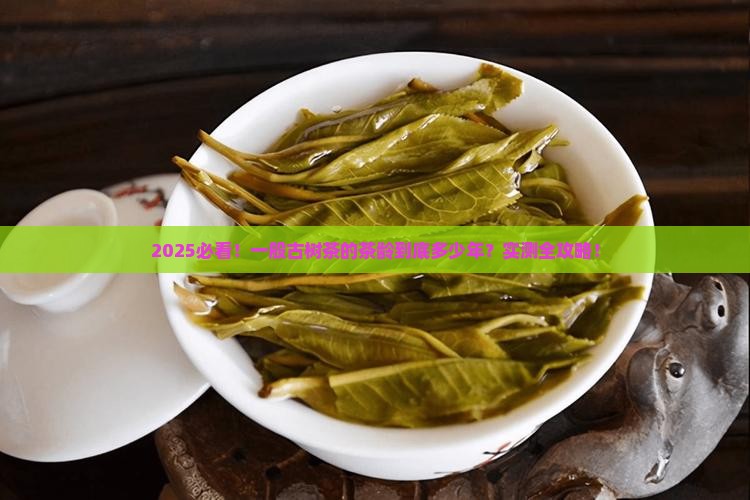 一般古树茶的茶龄是多少年的