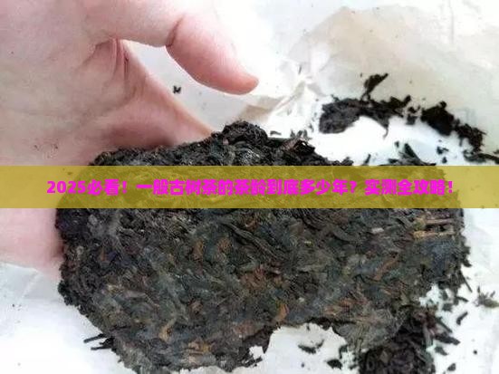 一般古树茶的茶龄是多少年的