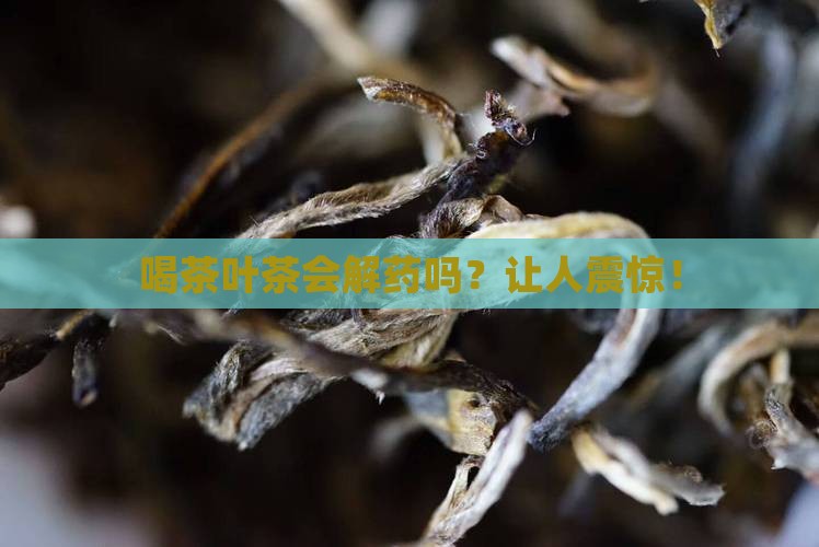 喝茶叶茶会解药吗