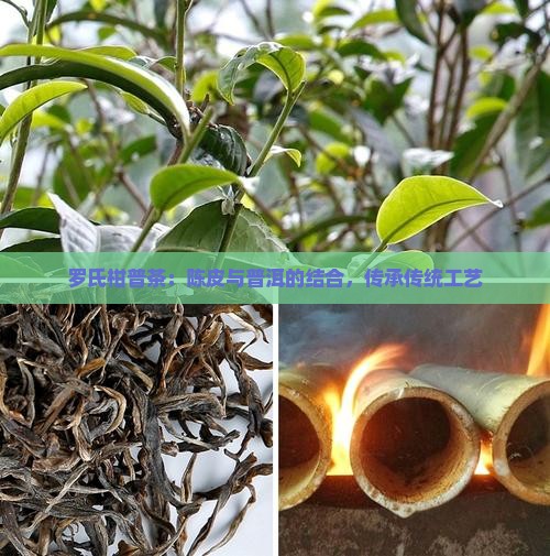 罗氏柑普茶工厂