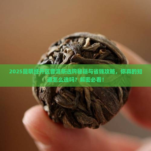 昆明经开区普洱茶