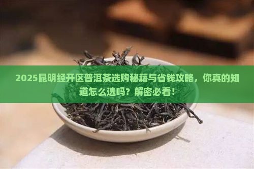 昆明经开区普洱茶