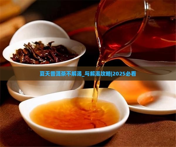 夏天普洱茶不解渴