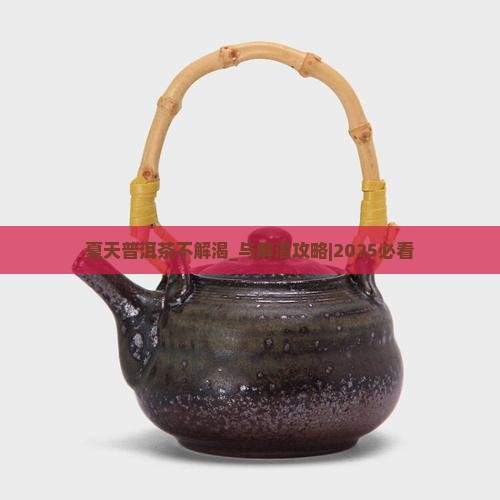 夏天普洱茶不解渴