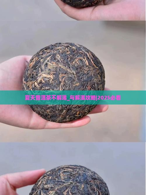 夏天普洱茶不解渴