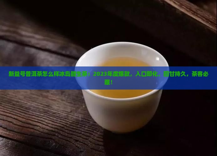 新益号普洱茶怎么样冰岛甜生茶