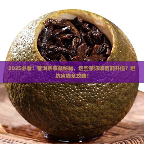 那个普洱茶可以购买藏