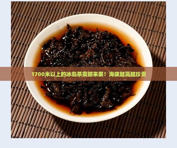 1700米以上的冰岛茶