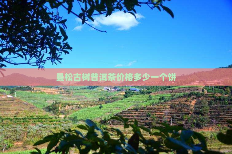 曼松青山古茶多少钱一个饼